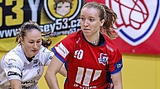 házenkářky